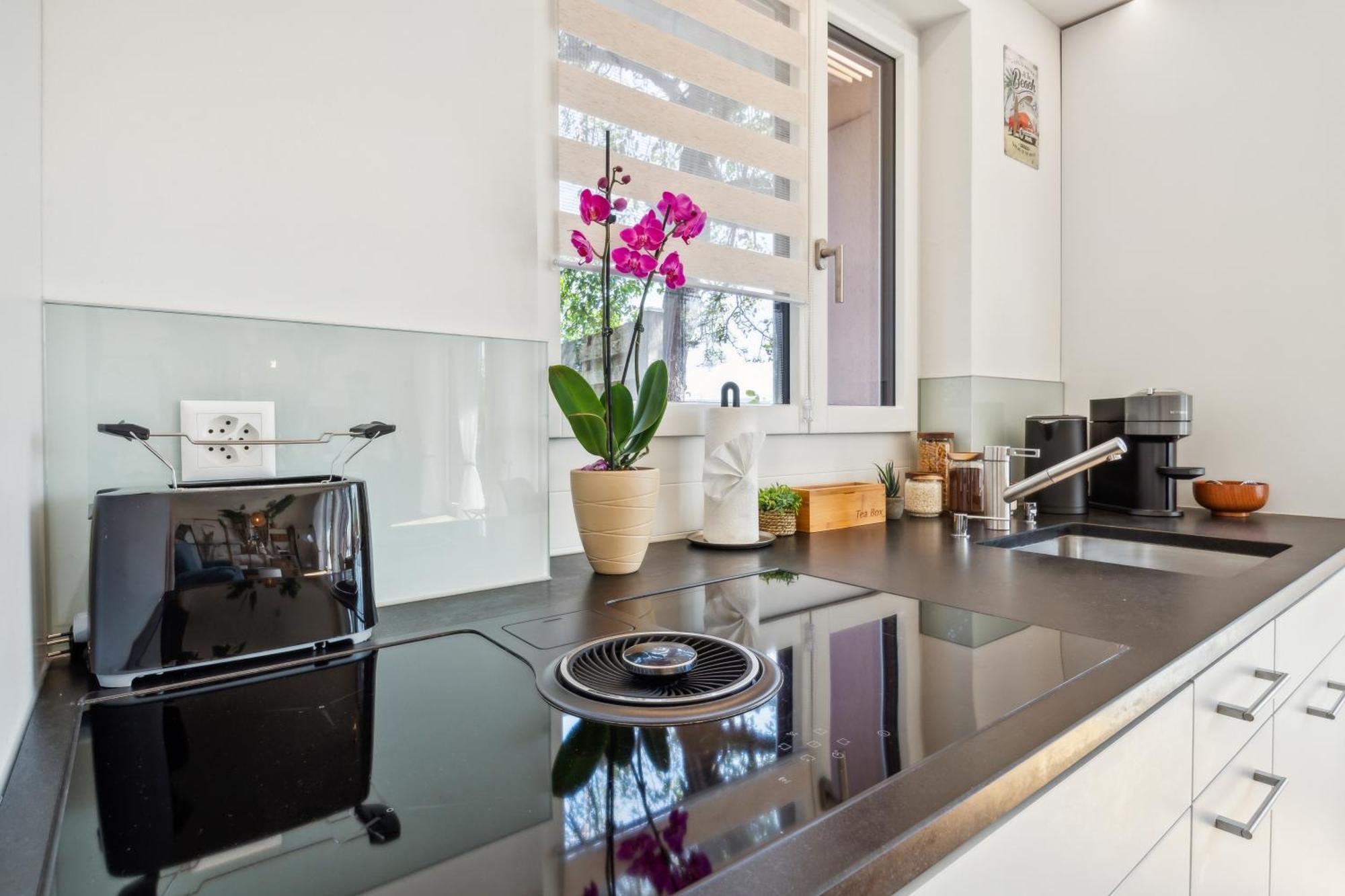 Business I Family Apartment I 1-4 Personen - Aare Blick, Nahe Altstadt I Beamer - 99" Leinwand I Terrassen Lounge Und Parkplatz Brugg  Zewnętrze zdjęcie